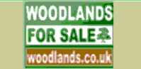 Articles on woodland activities, flora and fauna, conservation and other woodlandy topics.